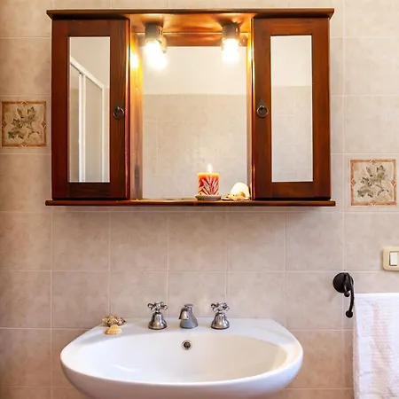 Bilo Camelia Marina di Grosseto