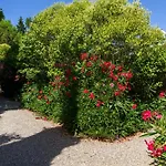 팜스테이 Bilo Camelia