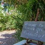 Bilo Camelia Farm stay