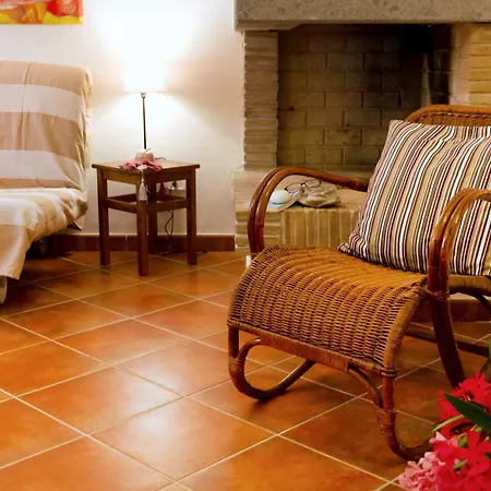 Bilo Camelia Farm stay *