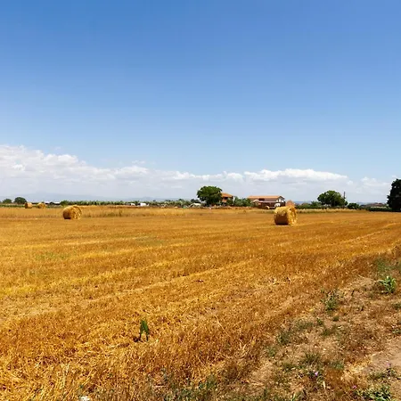 Alojamento de Turismo Rural Bilo Camelia