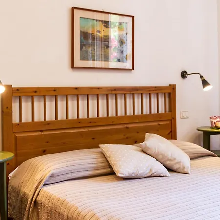 Bilo Camelia Marina di Grosseto