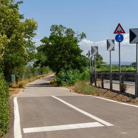 Bilo Camelia Alojamento de Turismo Rural