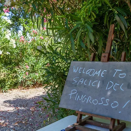 Alojamento de Turismo Rural Bilo Camelia