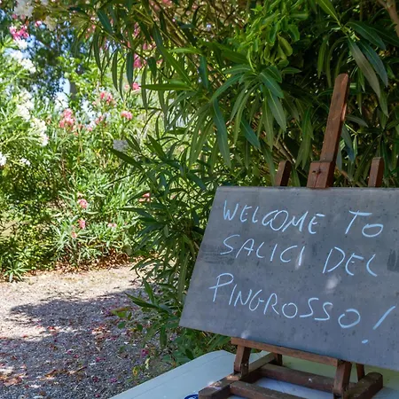 Farm stay Bilo Camelia