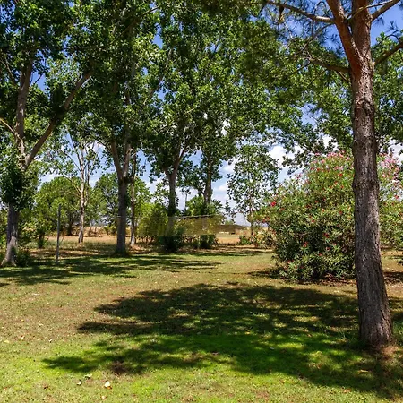 Bilo Camelia * Marina di Grosseto